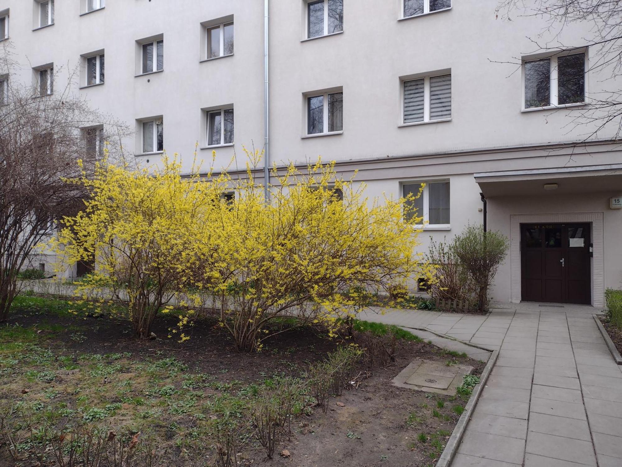 Cracowapart Ignacio A Краків Екстер'єр фото